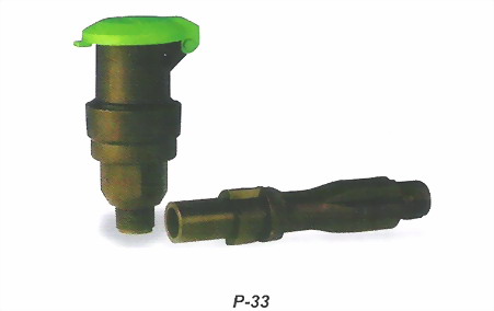 ���������񡱣�RAINBIRD��P-33����ȡˮ