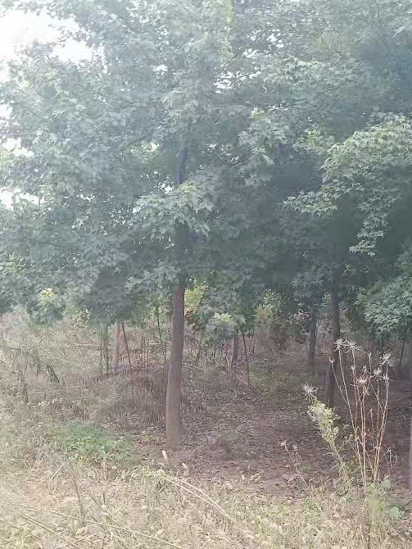 ���Ƿ�8-10����