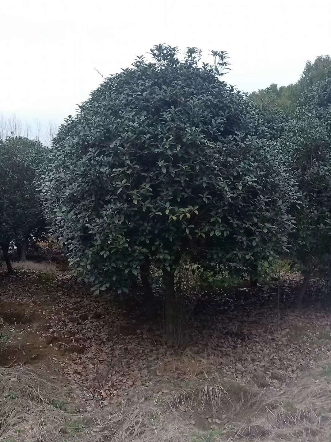 2.53�׽��