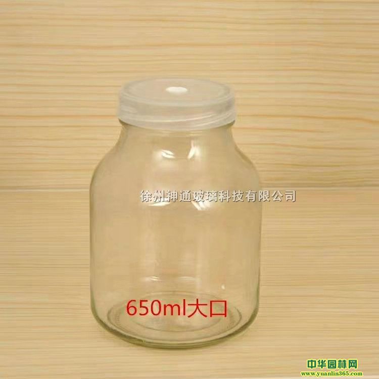 ��������ƿ650ml��������ƿ����������ƿ