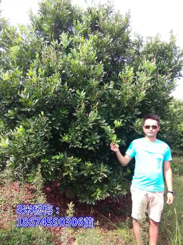 ��÷��