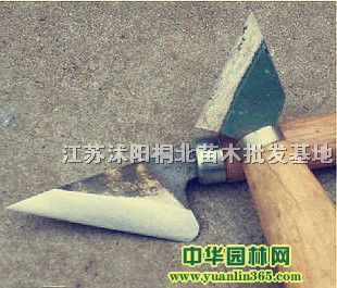 �޽ӹ��ߡ��޽ӵ����޽ӼС��޽��ָ������ġ�������