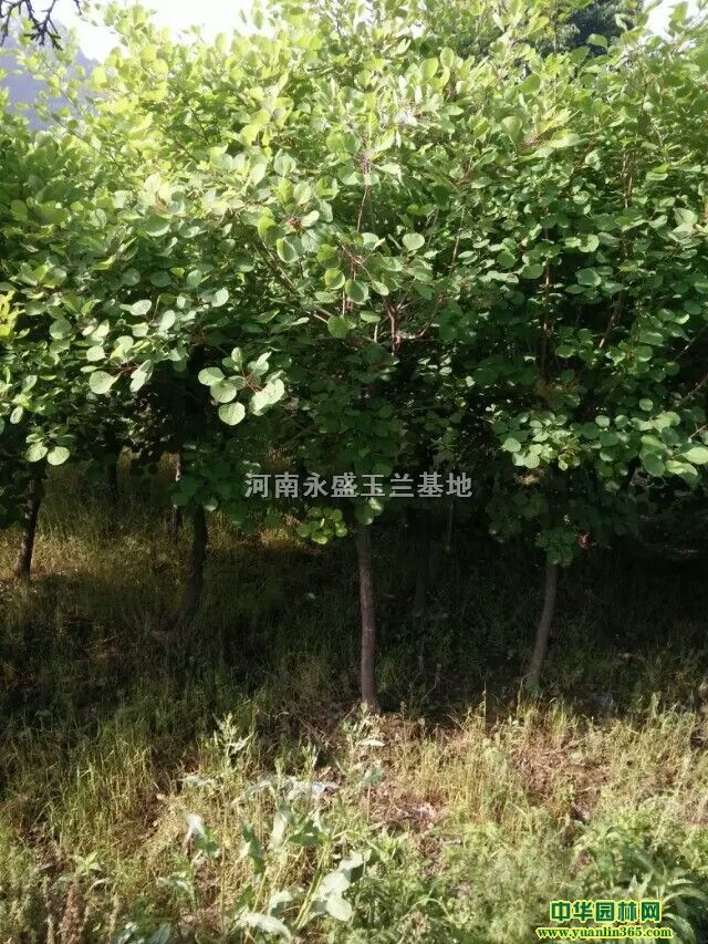����5-20���֡��������ӻ��ء��۸�ȫ����