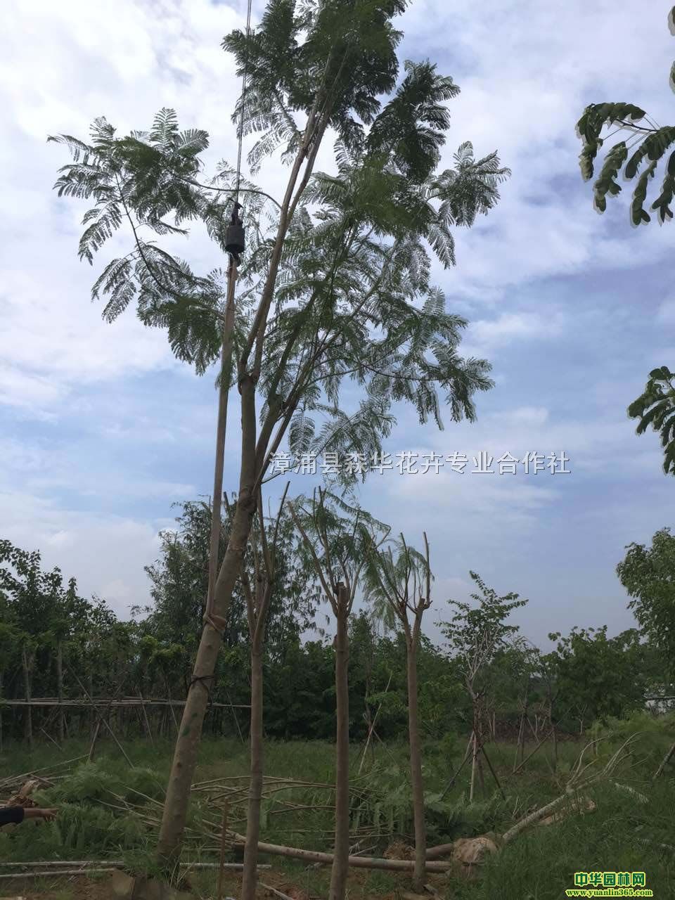 ������ؾ�5-20���֡�����ʹ���