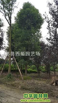 �ɶ�����