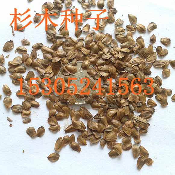 ɼľ���ӡ�ʯ�����ӡ��������ӡ�˿��ľ���ӡ�������