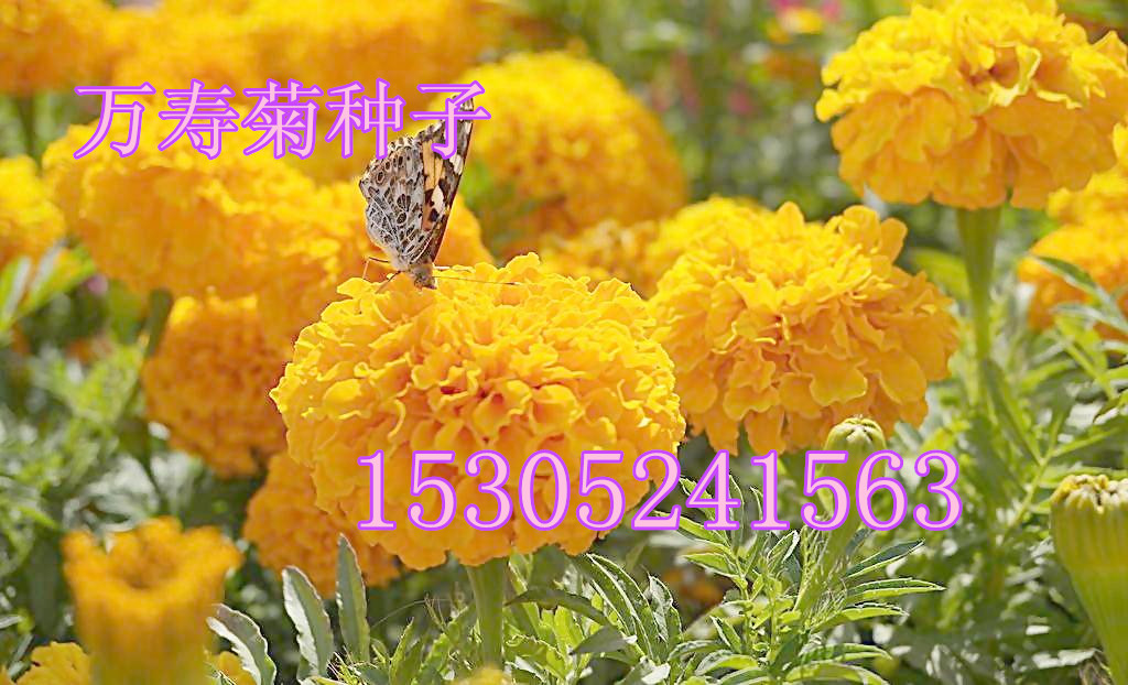 �������پ����ӡ��ջ����ӡ����ղ����ӡ��ݻ�����