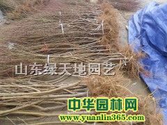 ���硢�����硢����
