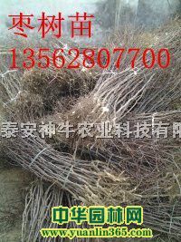 �����硢7����8������������