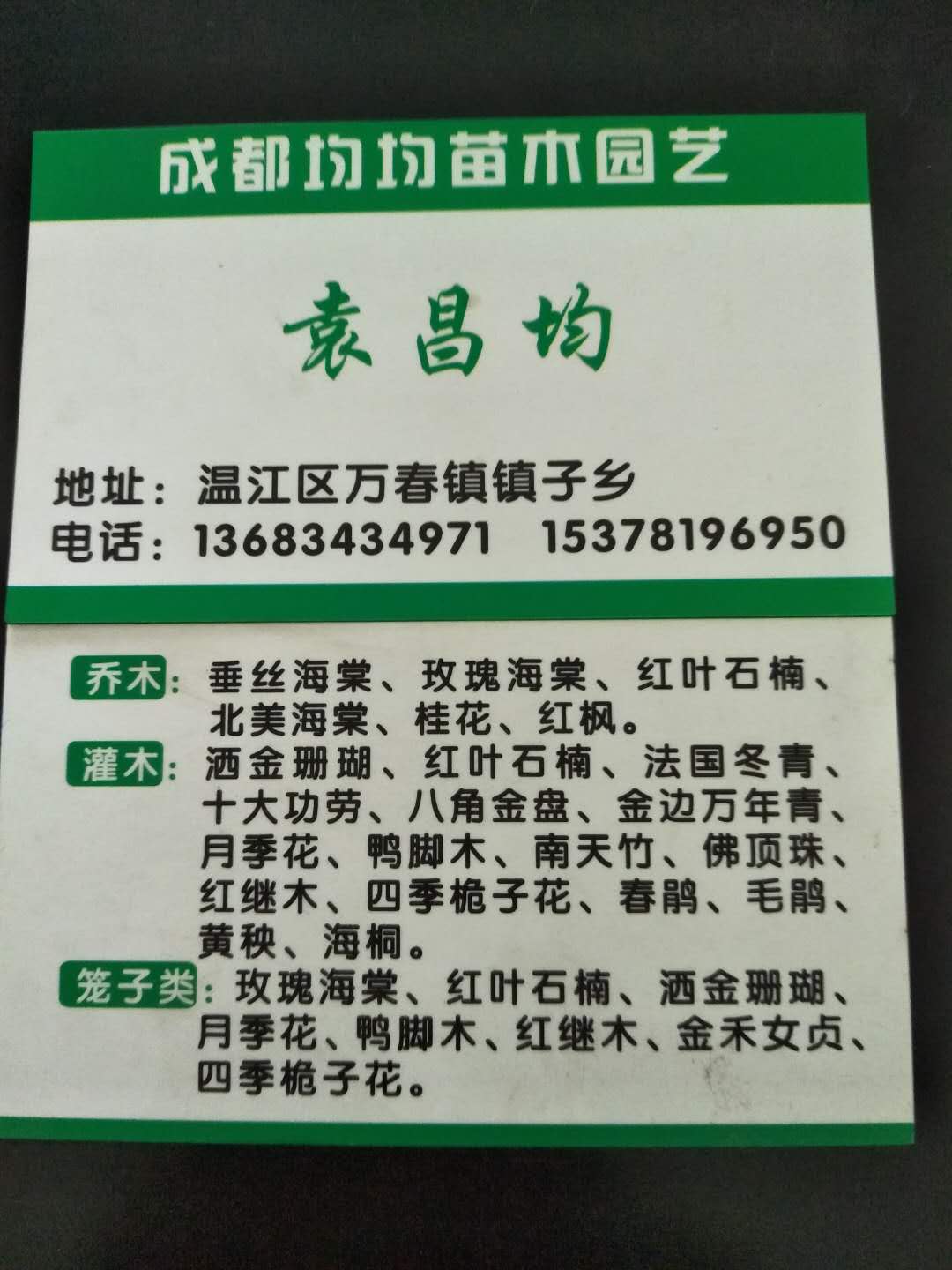 �Ĵ��ɶ��½�����ҶŮ��.��÷.��ĸ.�ļ������