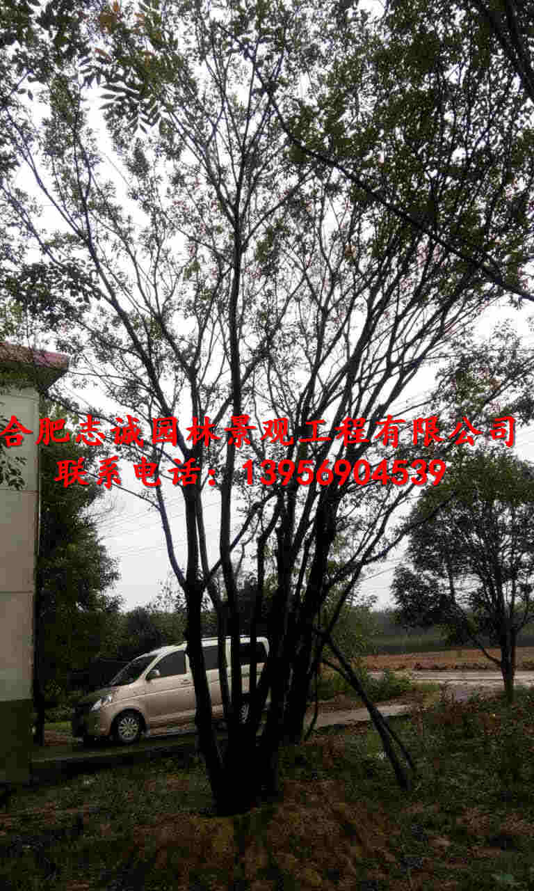 ���մ����������������������۸񡢺Ϸʴ���������ԭ������