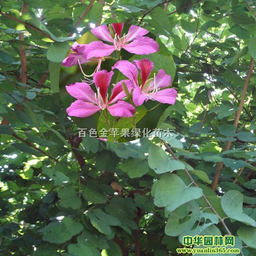 ���ڴ������컨����ס�5��������