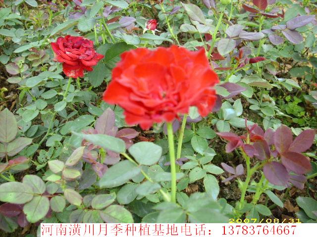 �컨�¼����컨��ľ����ҶС�ޡ����