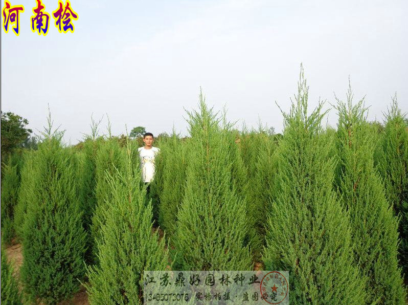 ���������������150CM