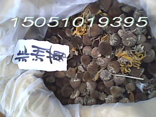 ���޾����ӣ�Ʒ�ʾ��Ա�֤���۸��������