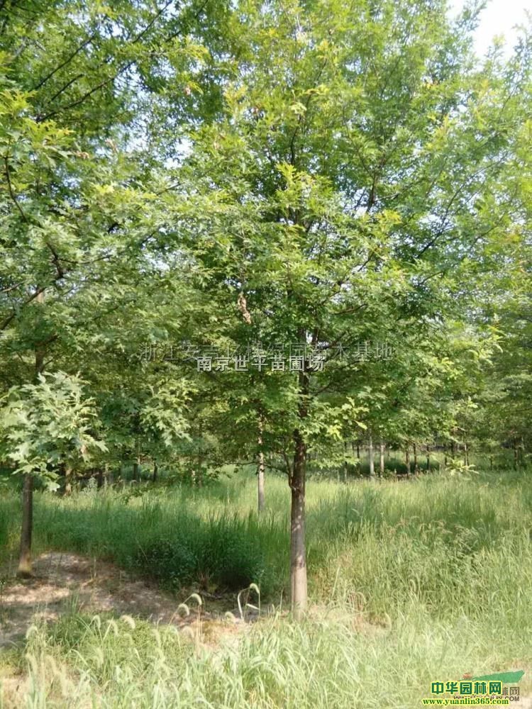 �����ݡ�������10���֡�����