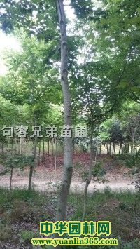 �����޻��ӡ������޻��ӡ��Ž��޻�����Ϣ