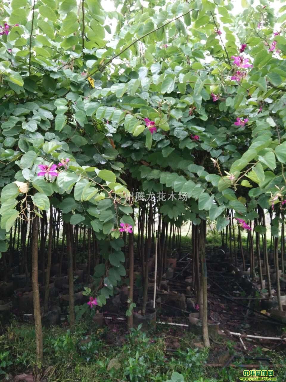 �컨�Ͼ�����5-8����