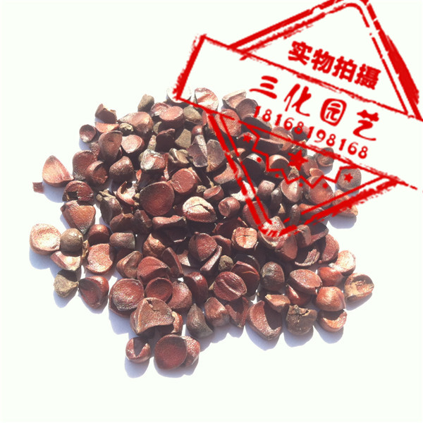 ���������ӡ�������С��0.045