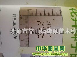 �¼�������