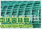 �纸��