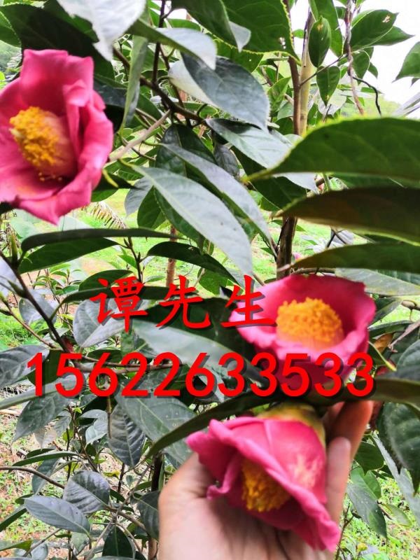 �컨�Ͳ���