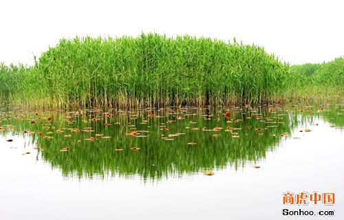 �ɻ���ź
