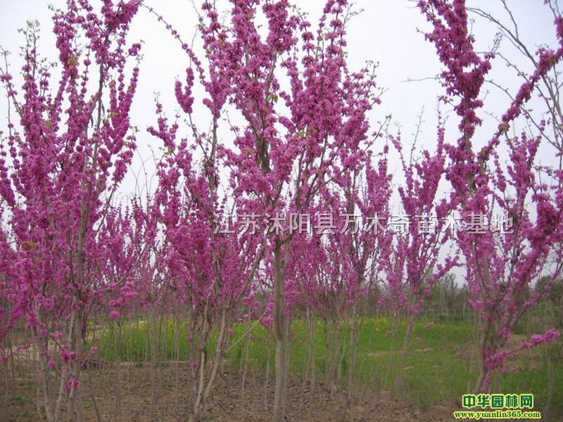 �Ͼ��硢�����Ͼ��������Ͼ����Ͼ�1-8���ִ�