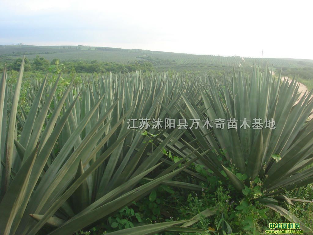 �����硢����20-80���֡���20-60����