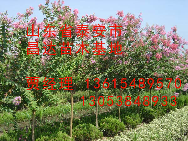 ̩����10���ְ��պ�۸����