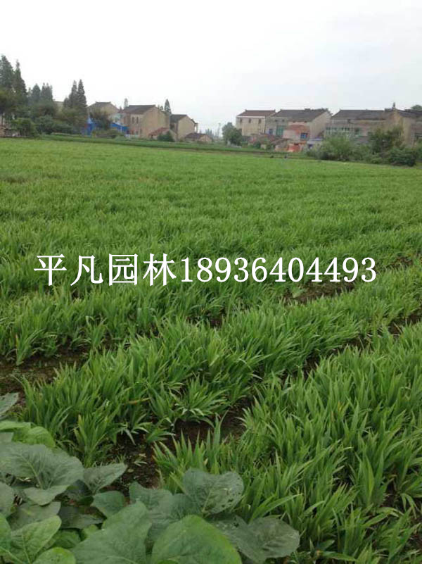 �β���硢�¹���β�������硢���������Ե����̻�����