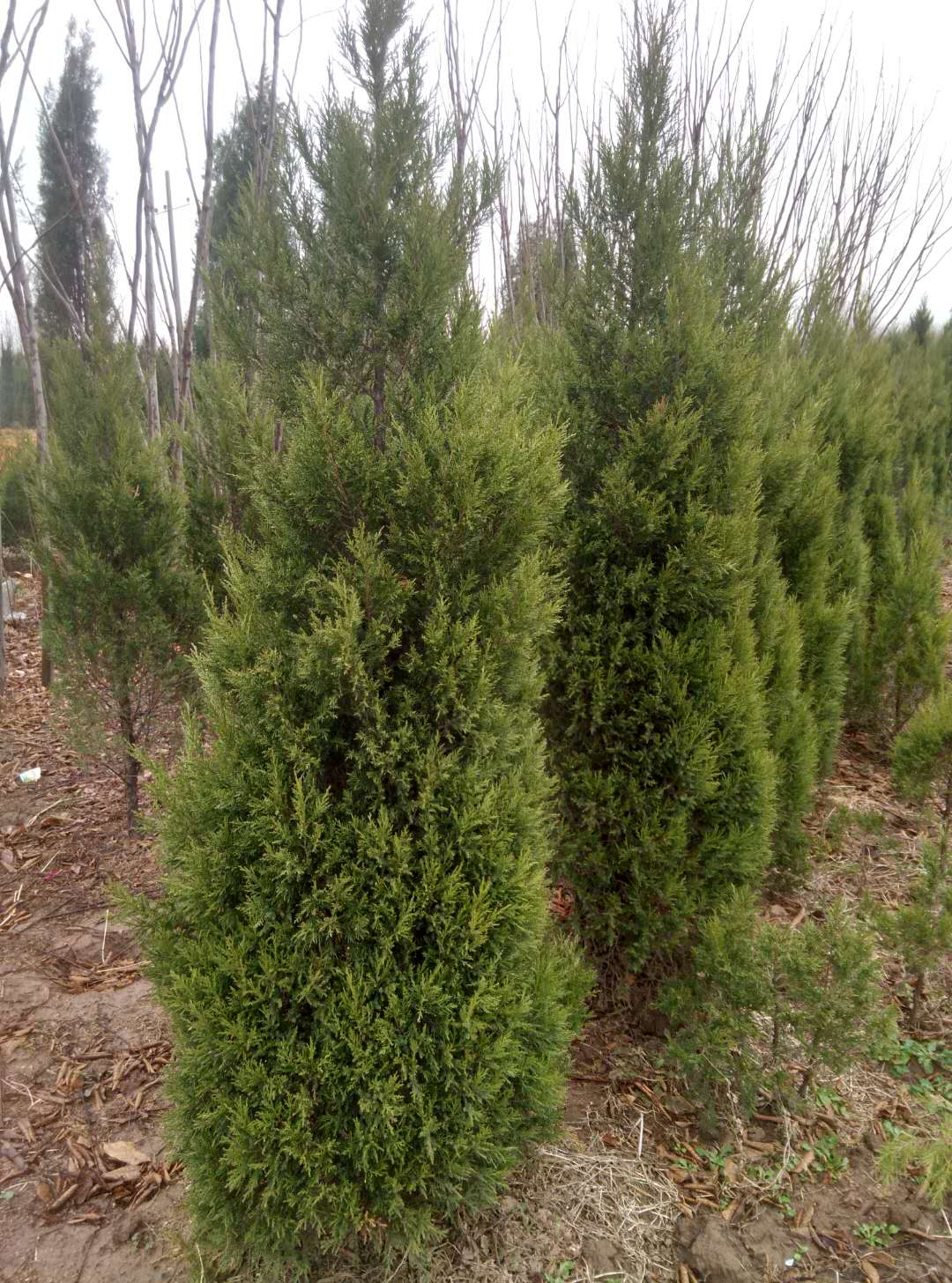 2�ס�2.5�ס�3���������硢����С������Ż�