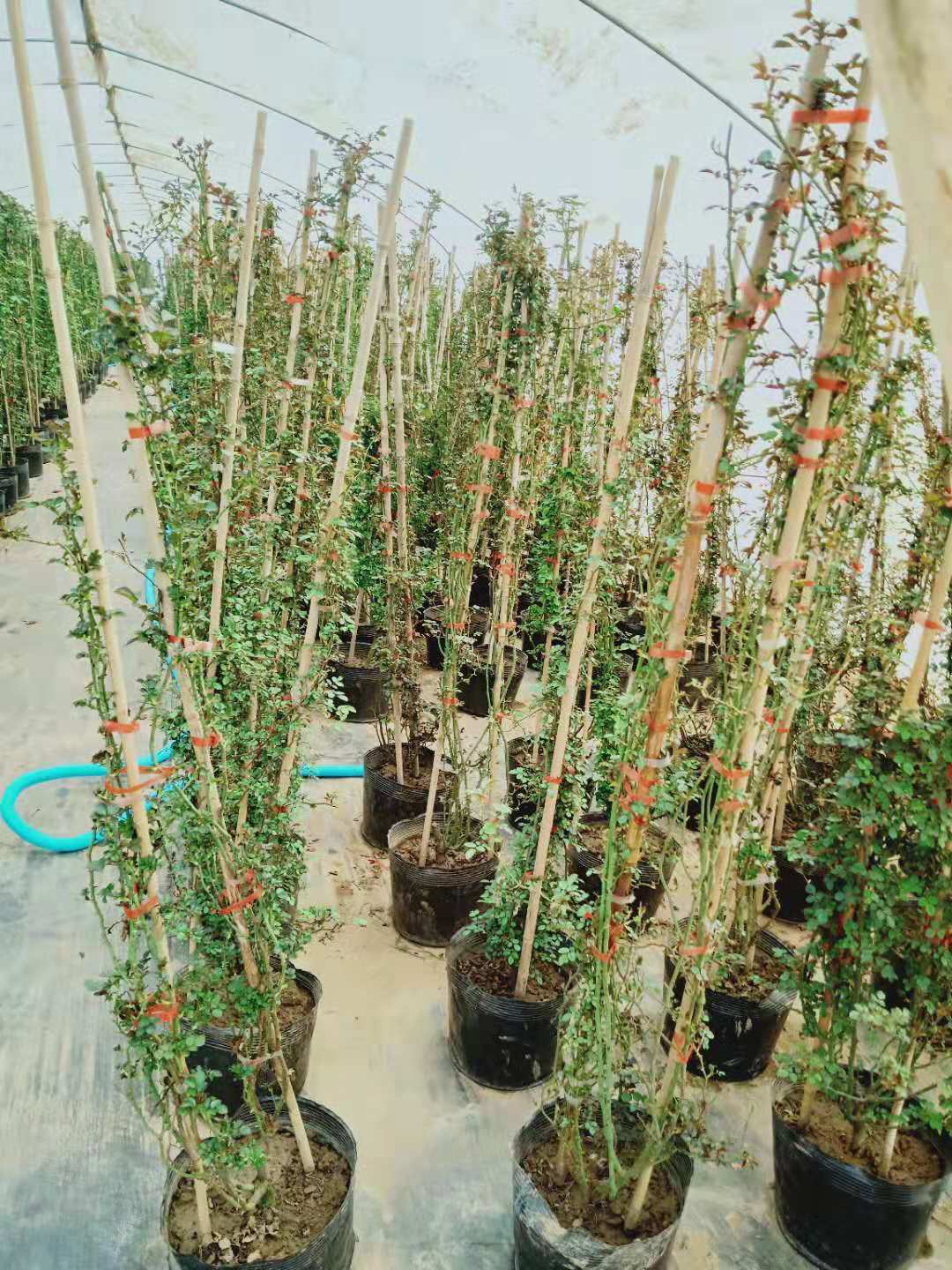 1-4�׸�ŷ���ٱ��¼��������