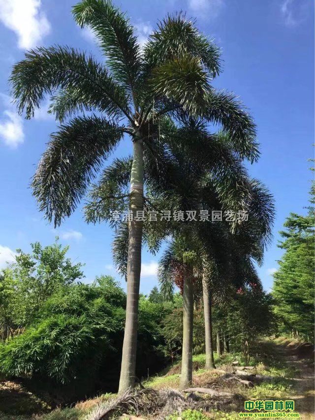 ��βҬ�ӡ���βҬ�Ӽ۸񡢸�����βҬ�ӻ���