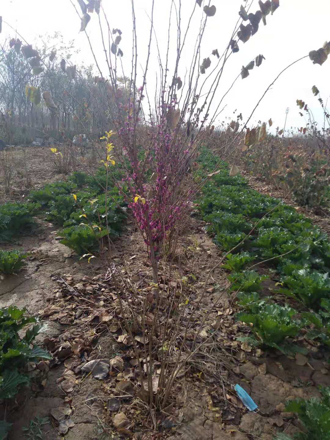 �Ͼ��ؾ�3-4����