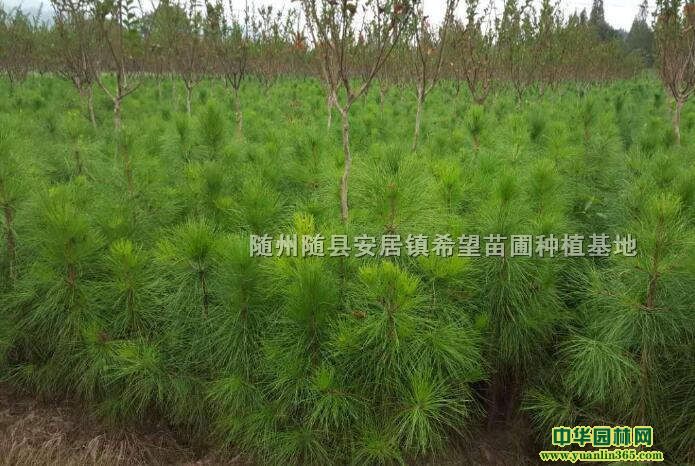 ������ʪ�����繩Ӧ����ʪ����-����ϣ������