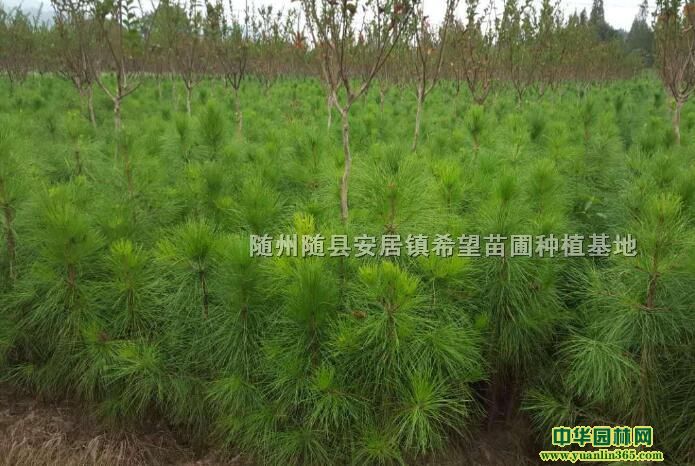 �差ʪ�����繩Ӧ����ʪ����-����ϣ������