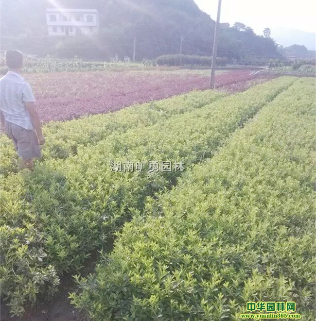 ���顢ë�ž顢��Ҷ�ž�