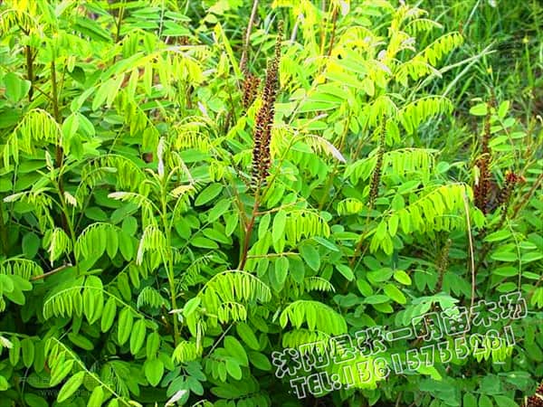 ��30-150�������뻱���硢����ֱ�����뻱��������