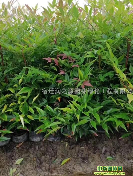�����񡢵��硢H2560����Ԥ����ʵ��