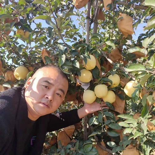 ά��˹�ƽ�ƻ���硢1����ƻ�������