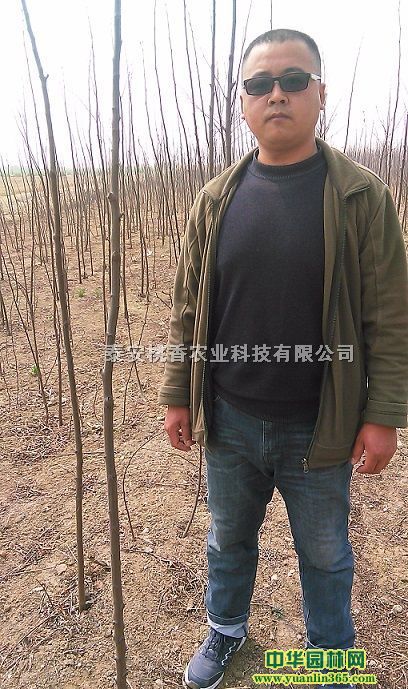 ����С�硢1�����������������������������