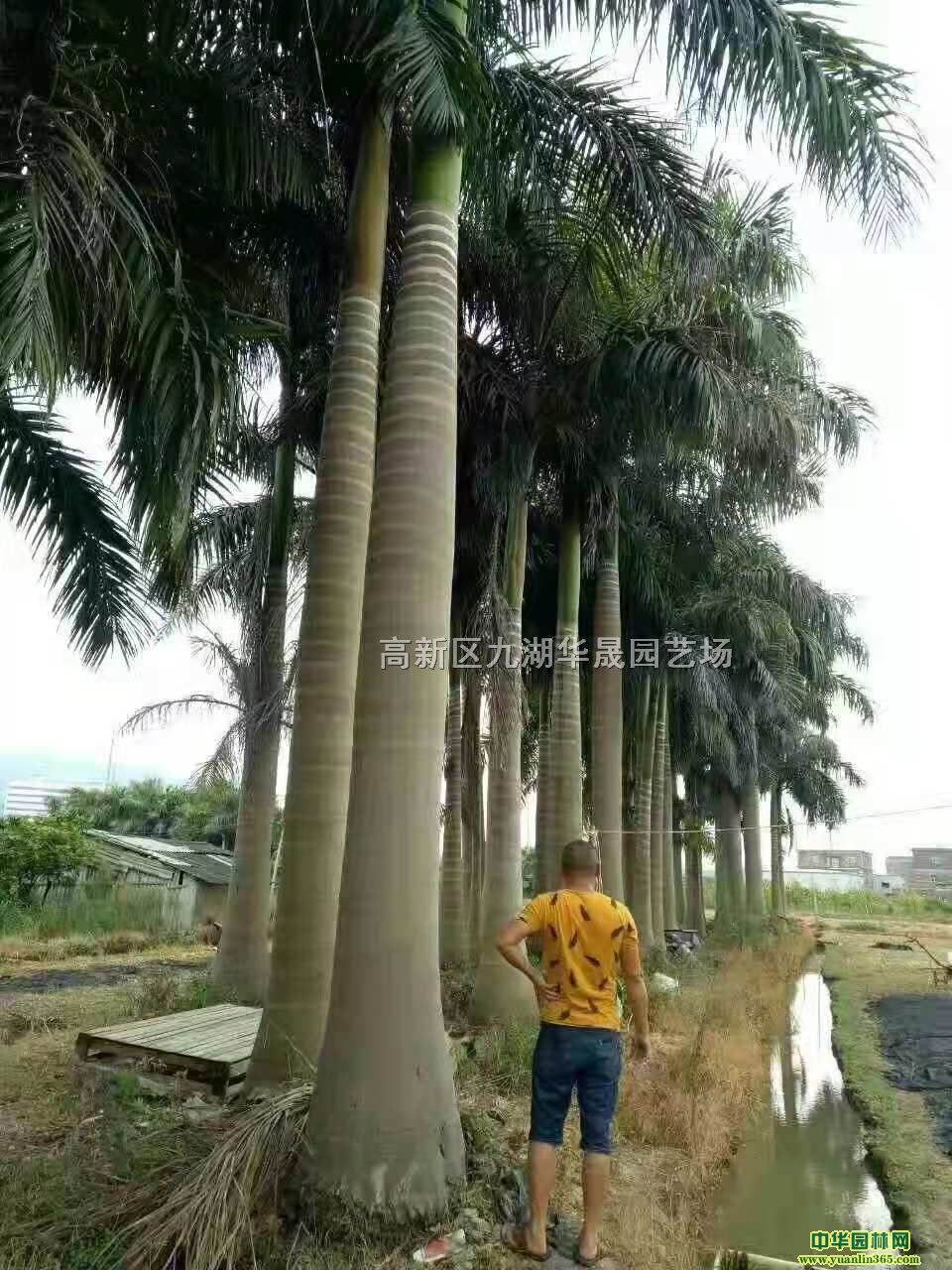 ����Ҭ�������������������������ݻ�Դ����