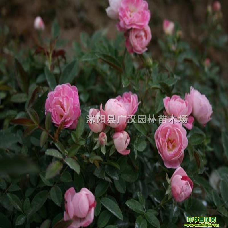 �ر��¼��ķ��෽��