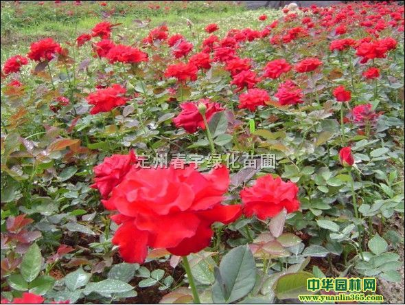 �¼������¼����Ứ�¼����ر��¼����ٱ��¼�