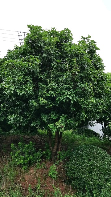 ������Ӧ2-7�����ļ���