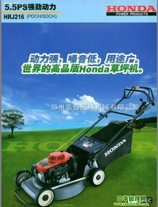 ����216���߸�ݻ�