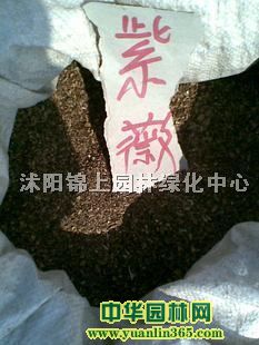 �ۺ춹ɼ����&nbsp;�����������&nbsp;ɼľ����