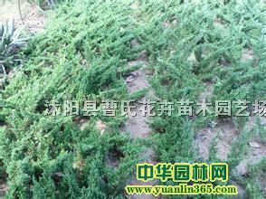 H30-100�̵ذ塢��30-100�̵ذ塢ɳ�ذ�