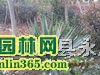 ���飨��β��������Ҷ˿����